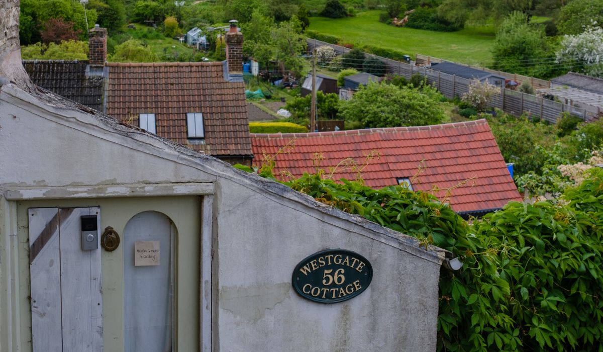 Choosing the right hedge for small UK gardens